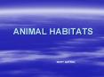ANIMAL HABITATS PowerPoint PPT Presentation