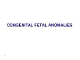 CONGENITAL FETAL ANOMALIES PowerPoint PPT Presentation