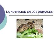 LA NUTRICI