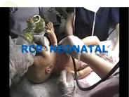 Neonatolog