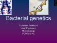 Bacterial genetics PowerPoint PPT Presentation