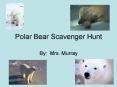 Polar Bear Scavenger Hunt PowerPoint PPT Presentation