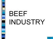BEEF INDUSTRY