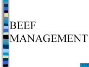 BEEF MANAGEMENT