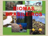 BIOMAS BRASILEIROS