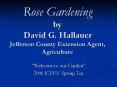 Rose Gardening by David G. Hallauer Jefferson County Extension Agent, Agriculture PowerPoint PPT Presentation