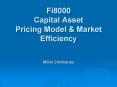 Fi8000 Capital Asset Pricing Model PowerPoint PPT Presentation