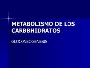 METABOLISMO DE LOS CARBBHIDRATOS