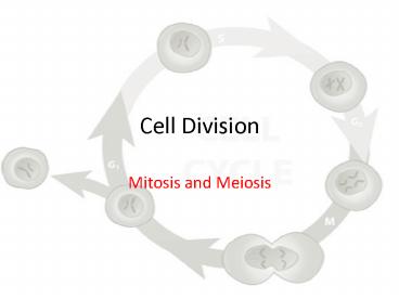PPT – Cell Division PowerPoint presentation | free to view - id: 418c71 ...