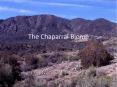The Chaparral Biome PowerPoint PPT Presentation