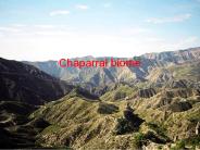 Chaparral biome