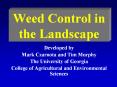 Weed Control in the Landscape PowerPoint PPT Presentation