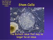 Stem Cells