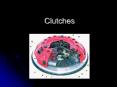 Clutches PowerPoint PPT Presentation