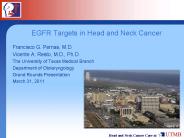 EGFR Targets in Head and Neck Cancer