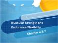 Muscular Strength and Endurance/Flexibility PowerPoint PPT Presentation