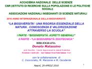 Presentazione di PowerPoint