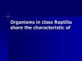 Organisms in class Reptilia share the characteristic of PowerPoint PPT Presentation