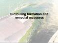 Biofouling formation and remedial measures PowerPoint PPT Presentation