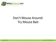 Try Baits From ePestSolutions to Get Rid of Mouses