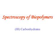 Spectroscopy of Biopolymers
