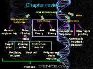Chapter 6  Gene Technology (Part VI)