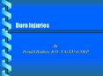 Burn Injuries PowerPoint PPT Presentation