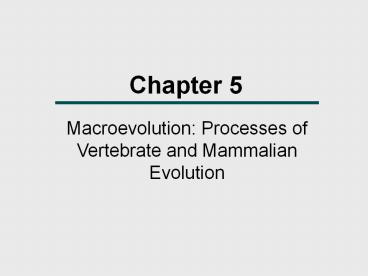 Macroevolution: Processes of Vertebrate and Mammalian Evolution