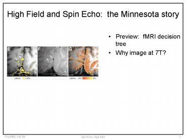 High Field and Spin Echo: the Minnesota story
