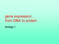 gene expression PowerPoint PPT Presentation