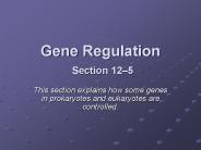 Gene Regulation Section 12
