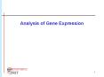 Analysis of Gene Expression Anne R. Haake Rhys Price Jones PowerPoint PPT Presentation
