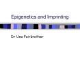 Epigenetics and Imprinting PowerPoint PPT Presentation