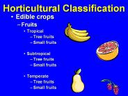 Horticultural%20Classification