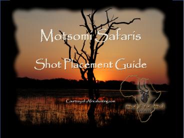 Motsomi Safaris Shot Placement Guide  Courtesy of :Africahunting.com