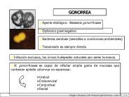 Diapositiva 1