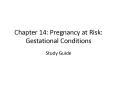 Chapter 14: Pregnancy at Risk: Gestational Conditions PowerPoint PPT Presentation