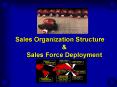 Sales Organization Structure
