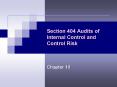 Section 404 Audits of Internal Control and Control Risk PowerPoint PPT Presentation