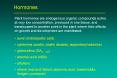Hormones PowerPoint PPT Presentation