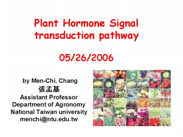 presentation player overlay