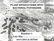 Plant interactions with