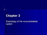 Kinesiology of the musculoskeletal system