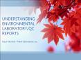 UNDERSTANDING ENVIRONMENTAL LABORATORY/QC REPORTS Maya Murshak  PowerPoint PPT Presentation