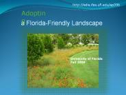 a Florida-Friendly Landscape