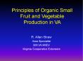 Principles of Organic Small Fruit and Vegetable Production in VA PowerPoint PPT Presentation