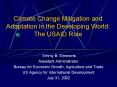 Climate Change Mitigation and Adaptation in the Developing World: The USAID Role PowerPoint PPT Presentation