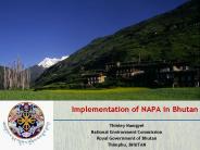 Implementation of NAPA in Bhutan PowerPoint PPT Presentation