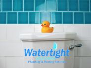 Putney Plumbers