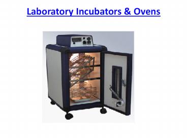 Laboratory Incubators and Ovens